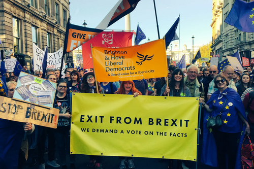 B&H Lib Dems at People's Vote march Oct 20th