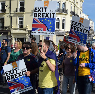 B&H Lib Dems at StopBrexit march