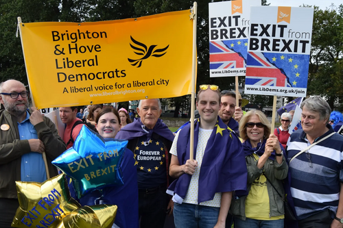 B&H Lib Dems at StopBrexit march