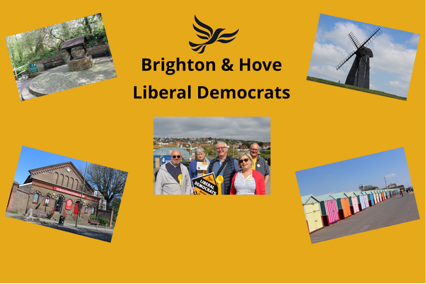 B & H Liberal Democrats