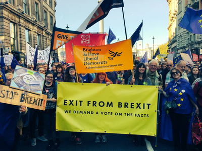 Brighton and Hove Lib Dems at the People's Vote March in Oct 2018