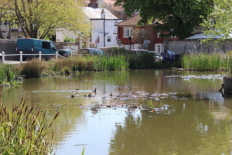 Rottingdean Village Pond